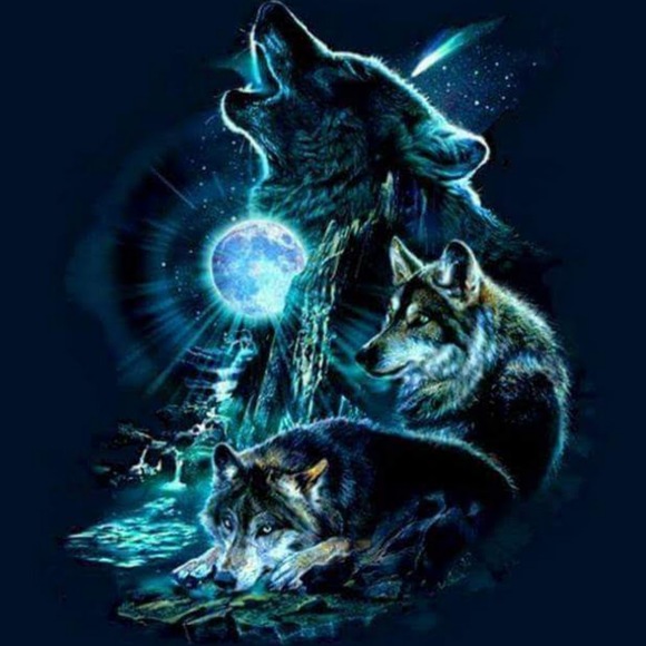 Meet your Posher, Tiffany - Picture 1 of 1